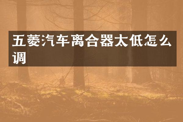 五菱汽车离合器太低怎么调