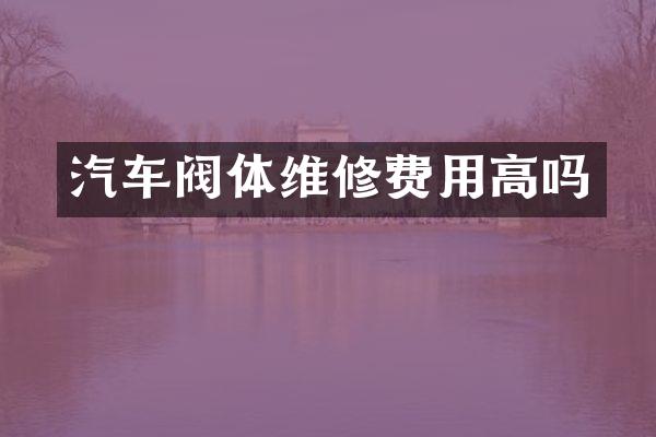 汽车阀体维修费用高吗