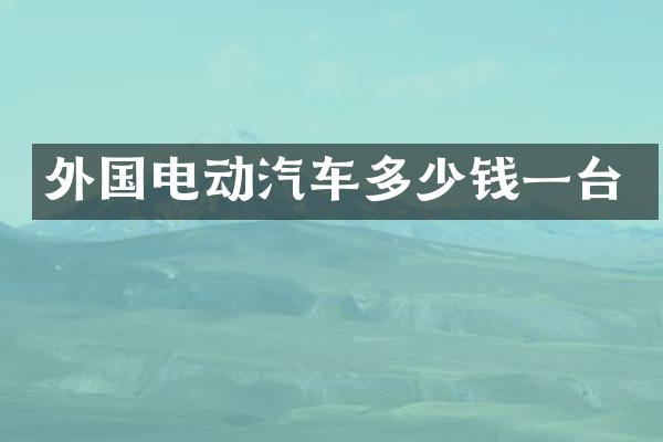 外国电动汽车多少钱一台