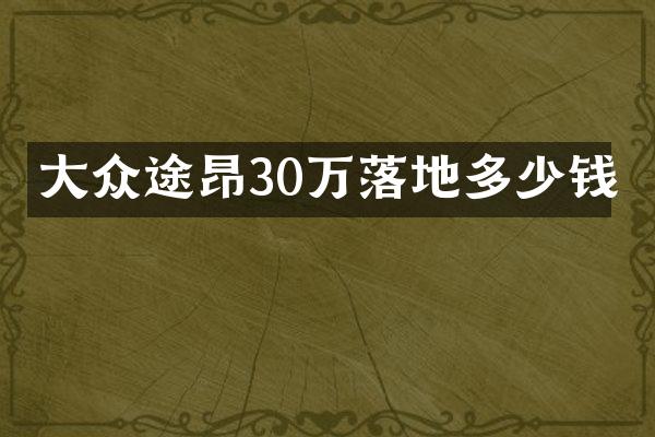 大众途昂30万落地多少钱