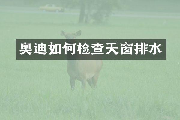 奥迪如何检查天窗排水