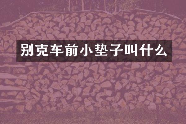 别克车前小垫子叫什么