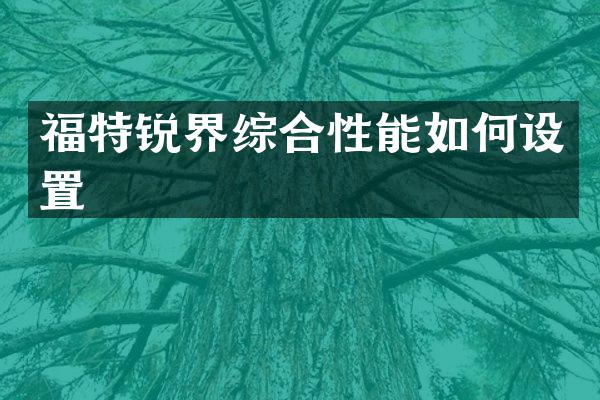 福特锐界综合性能如何设置