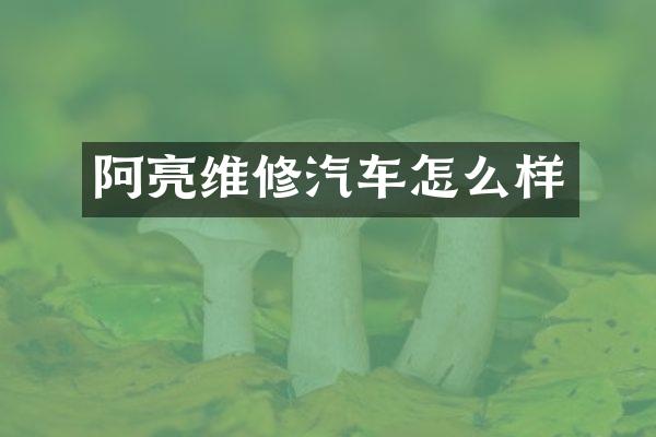 阿亮维修汽车怎么样