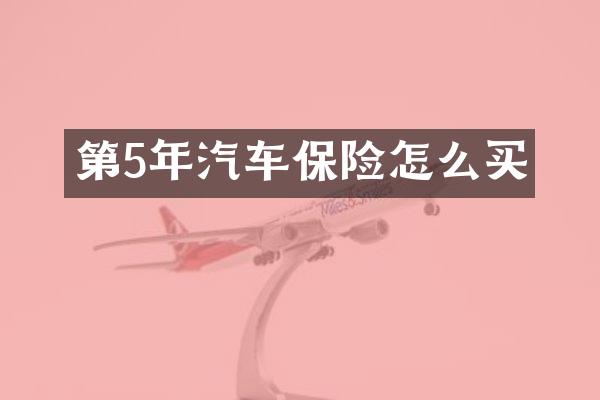 第5年汽车保险怎么买