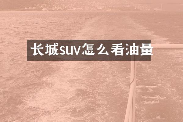 长城suv怎么看油量