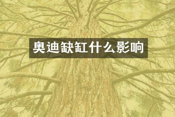 奥迪缺缸什么影响