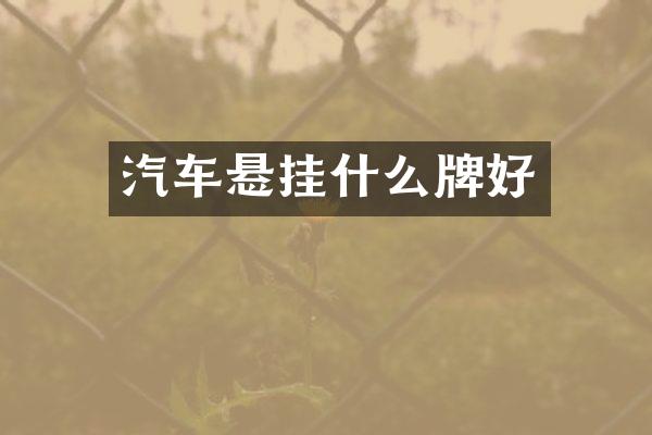 汽车悬挂什么牌好