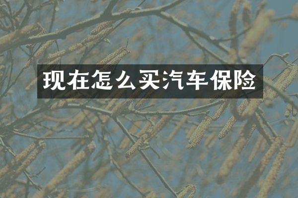 现在怎么买汽车保险
