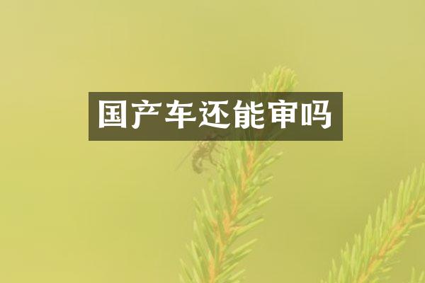 国产车还能审吗