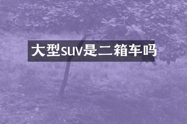 大型suv是二箱车吗