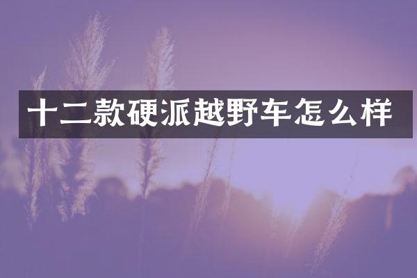 十二款硬派越野车怎么样