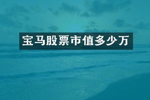 宝马股票市值多少万