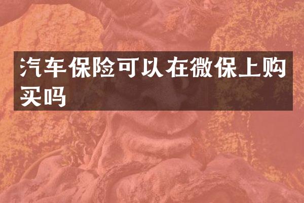 汽车保险可以在微保上购买吗