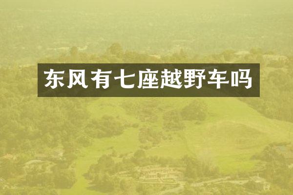 东风有七座越野车吗