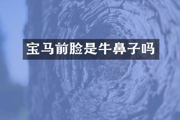 宝马前脸是牛鼻子吗