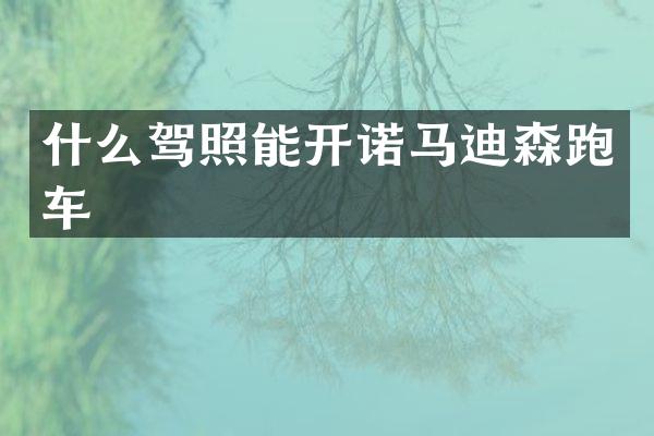 什么驾照能开诺马迪森跑车