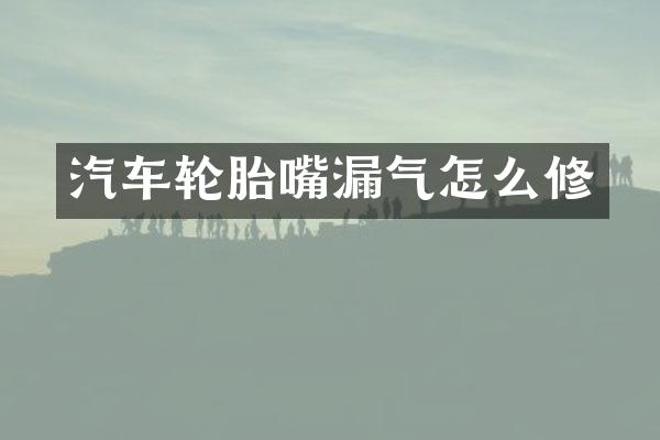 汽车轮胎嘴漏气怎么修