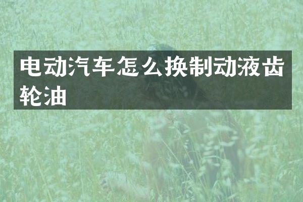 电动汽车怎么换制动液齿轮油