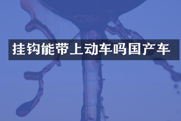 挂钩能带上动车吗国产车