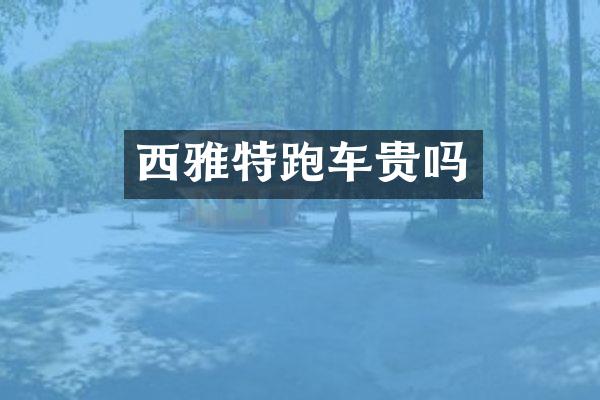 西雅特跑车贵吗
