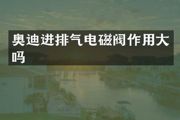 奥迪进排气电磁阀作用大吗