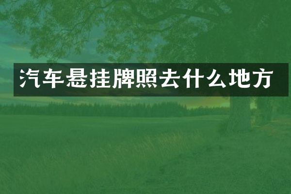 汽车悬挂牌照去什么地方