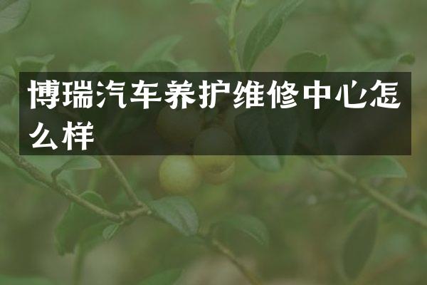 博瑞汽车养护维修中心怎么样