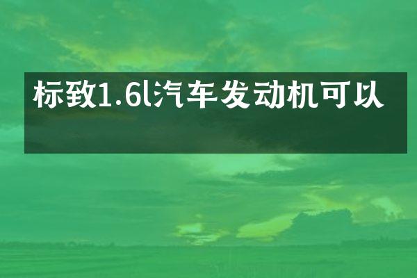 标致1.6l汽车发动机可以吗