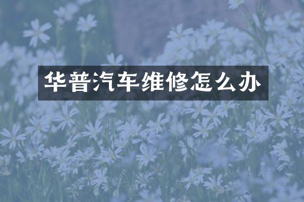 华普汽车维修怎么办