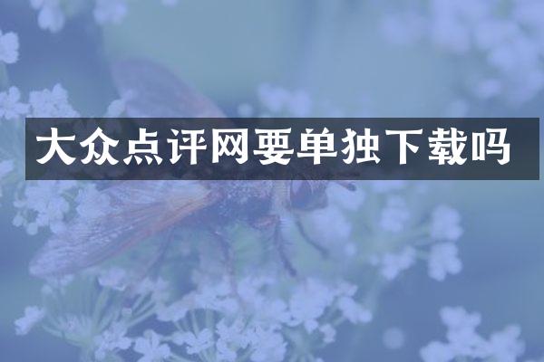 大众点评网要单独下载吗