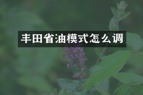 丰田省油模式怎么调