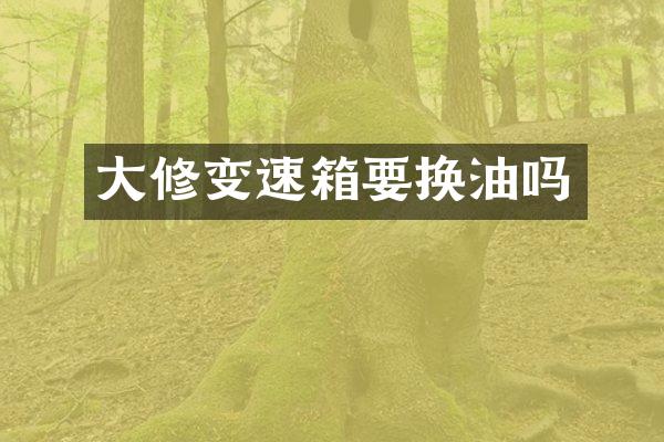 大修变速箱要换油吗