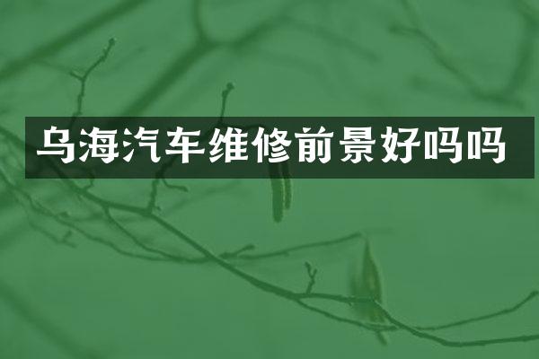 乌海汽车维修前景好吗吗