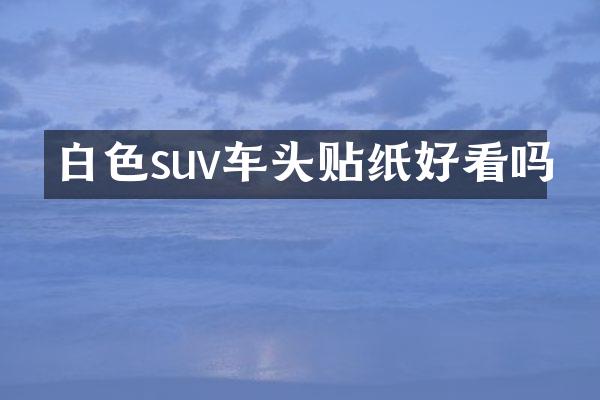 白色suv车头贴纸好看吗