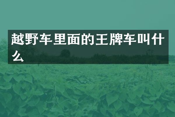 越野车里面的王牌车叫什么
