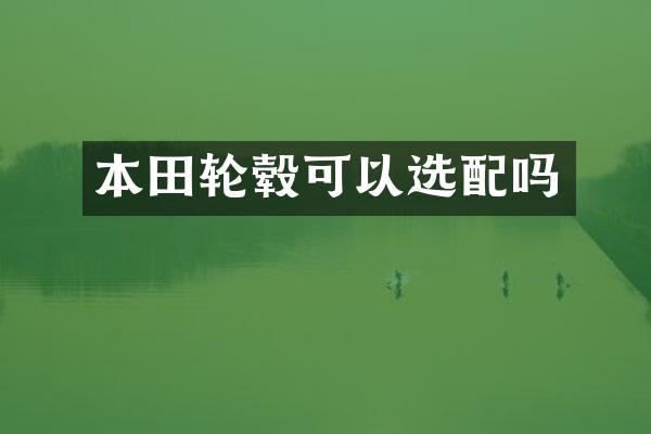 本田轮毂可以选配吗