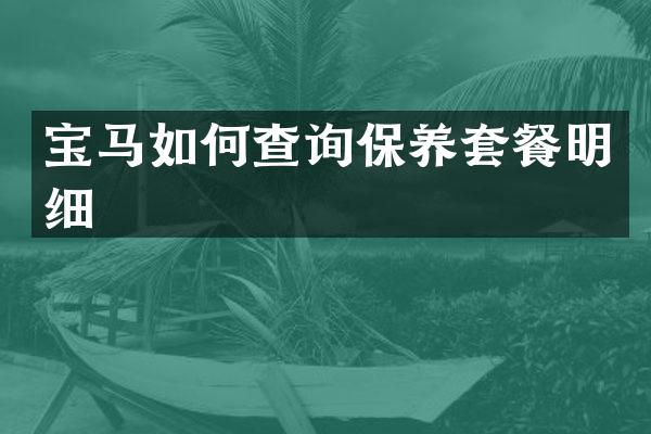 宝马如何查询保养套餐明细