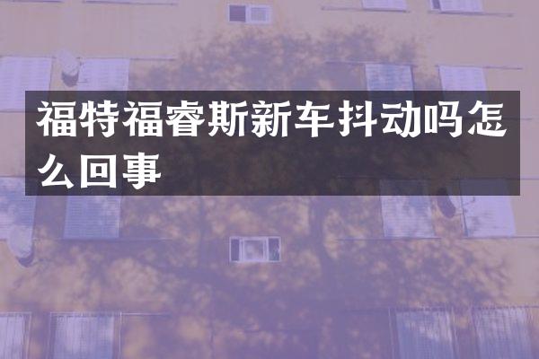 福特福睿斯新车抖动吗怎么回事