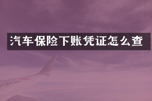 汽车保险下账凭证怎么查