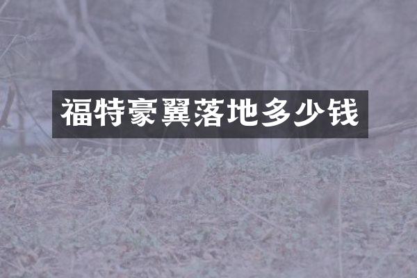 福特豪翼落地多少钱