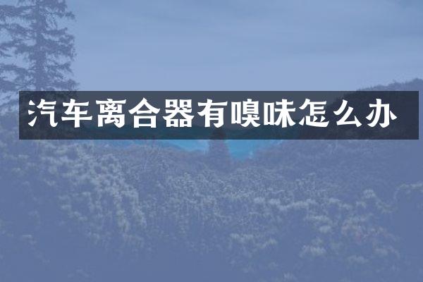 汽车离合器有嗅味怎么办