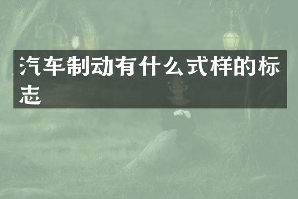 汽车制动有什么式样的标志