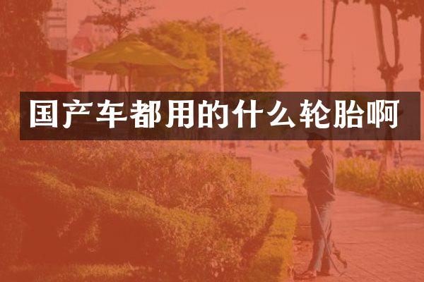 国产车都用的什么轮胎啊