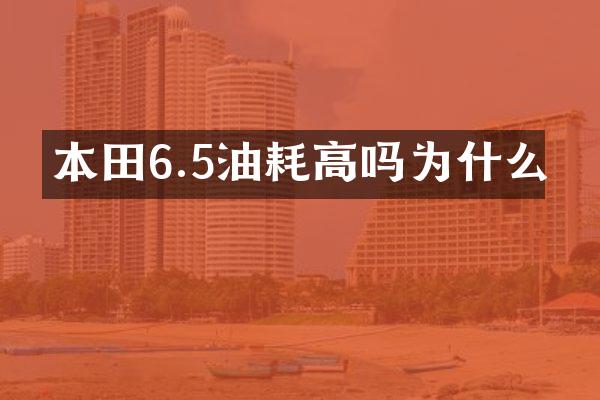 本田6.5油耗高吗为什么