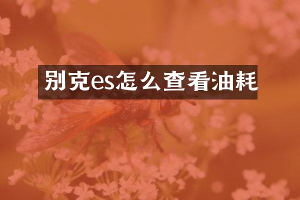 别克es怎么查看油耗