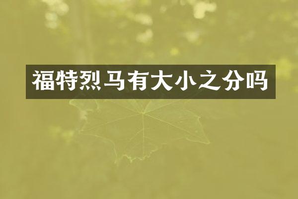 福特烈马有大小之分吗