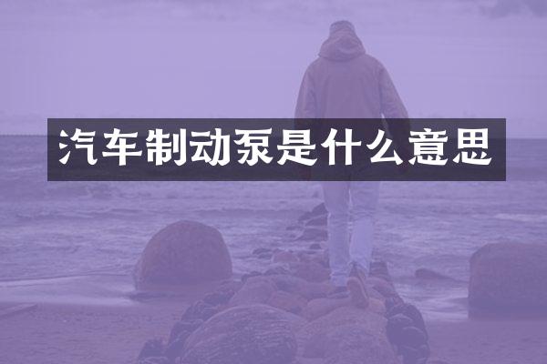 汽车制动泵是什么意思