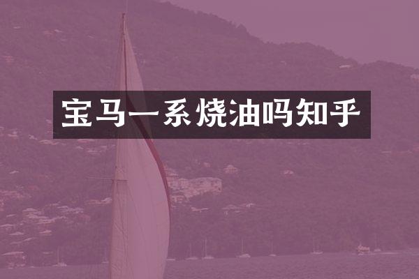 宝马一系烧油吗知乎