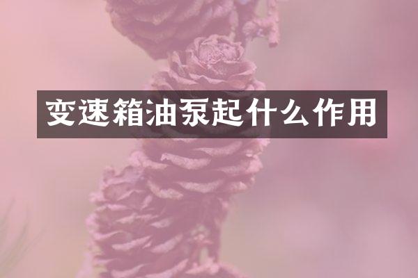 变速箱油泵起什么作用
